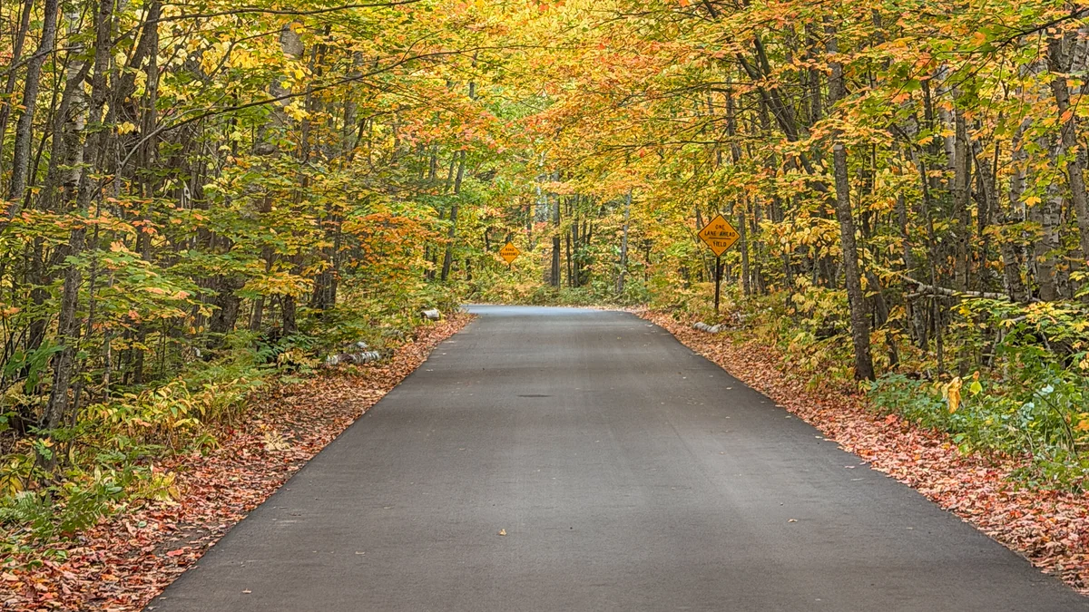 Paved road beneath a canopy of autumn trees