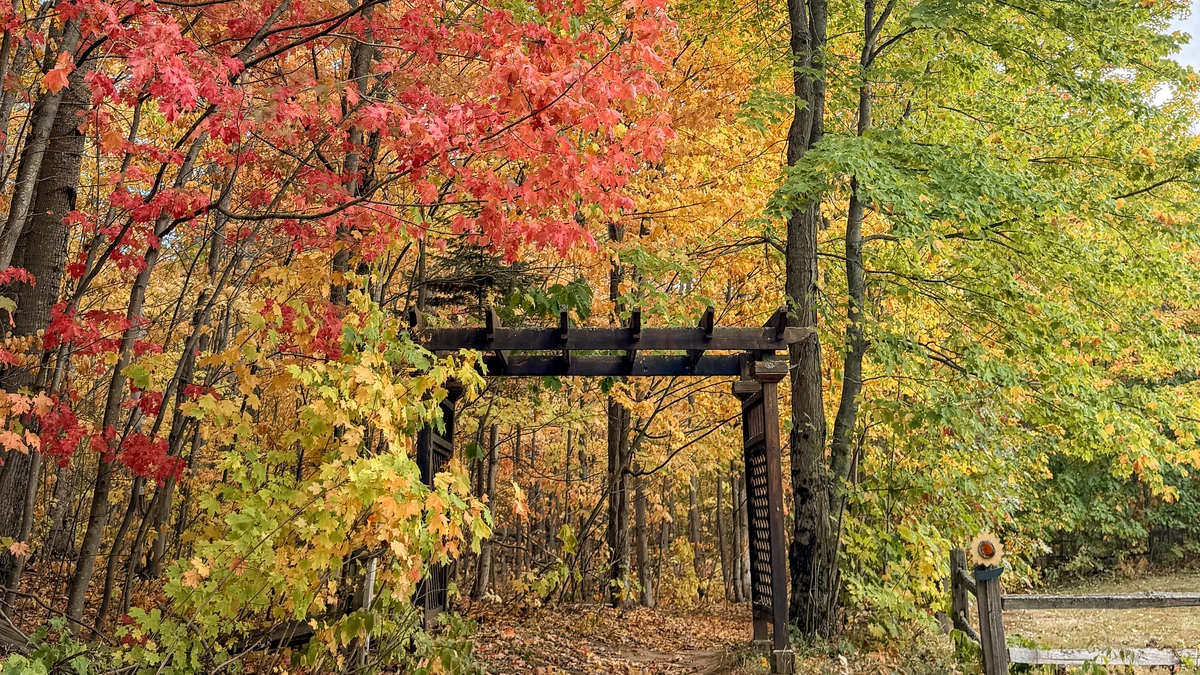 Red, orange and yellow leaves around a wooden entrance arbor